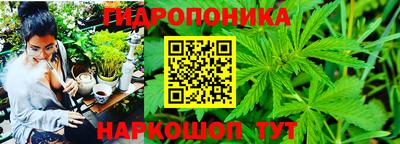 спайс Нарткала