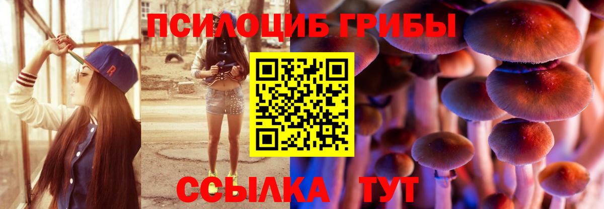 Галлюциногенные грибы мухоморы Узловая