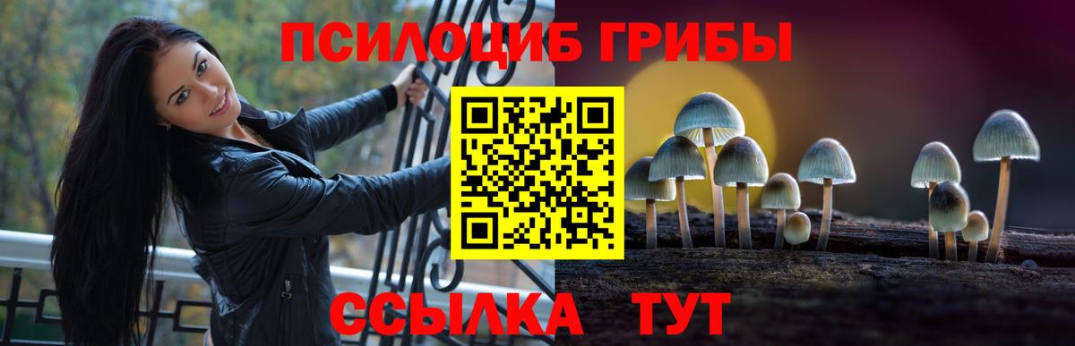 Узловая  Псилоцибиновые грибы Cubensis  Галлюциногенные грибы ЛСД  даркнет сайт  Вход с VPN 